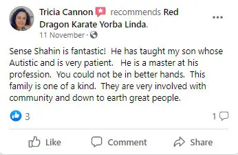 Teen Review 3, Red Dragon Karate Yorba Linda